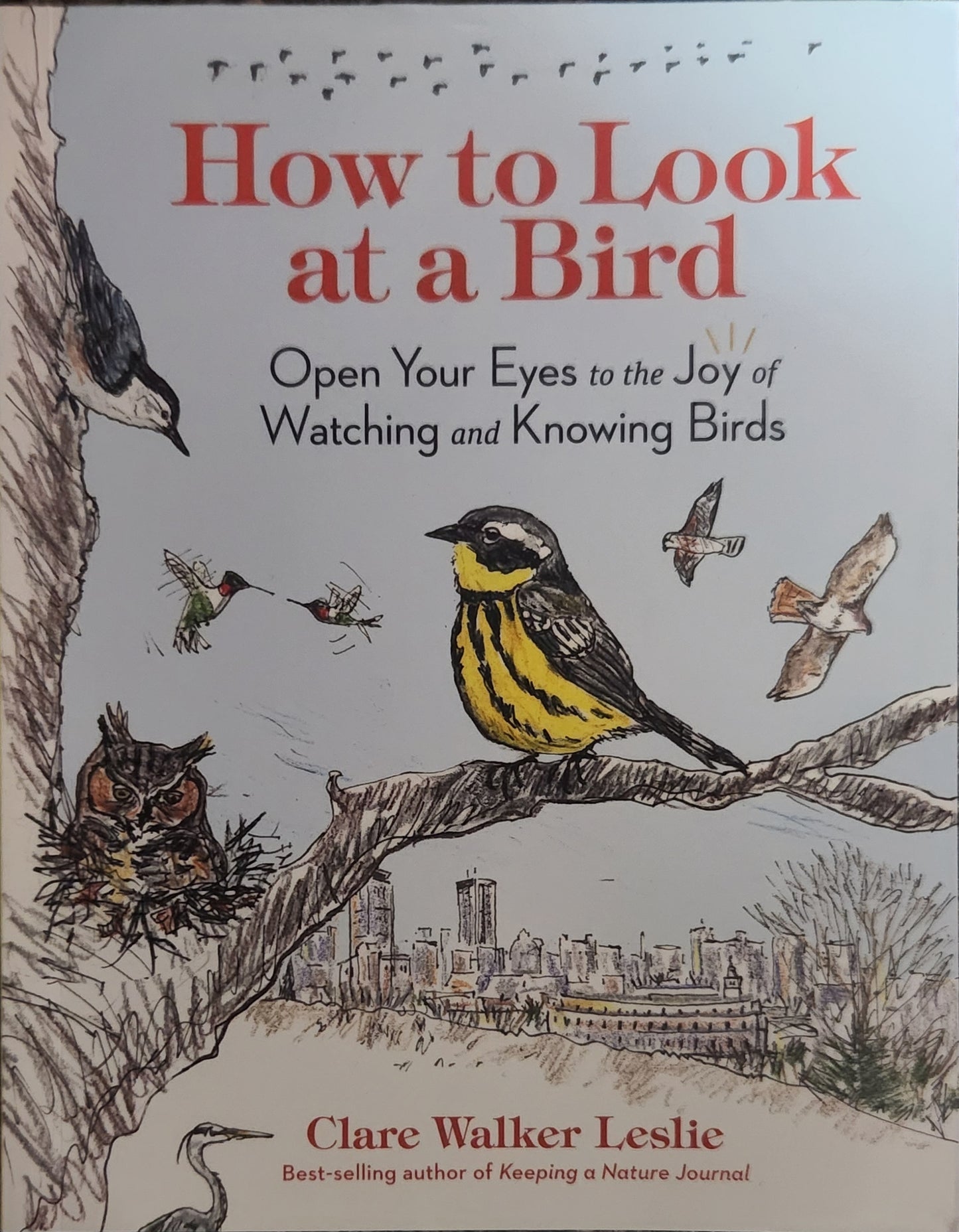 Book: How to Look at a Bird