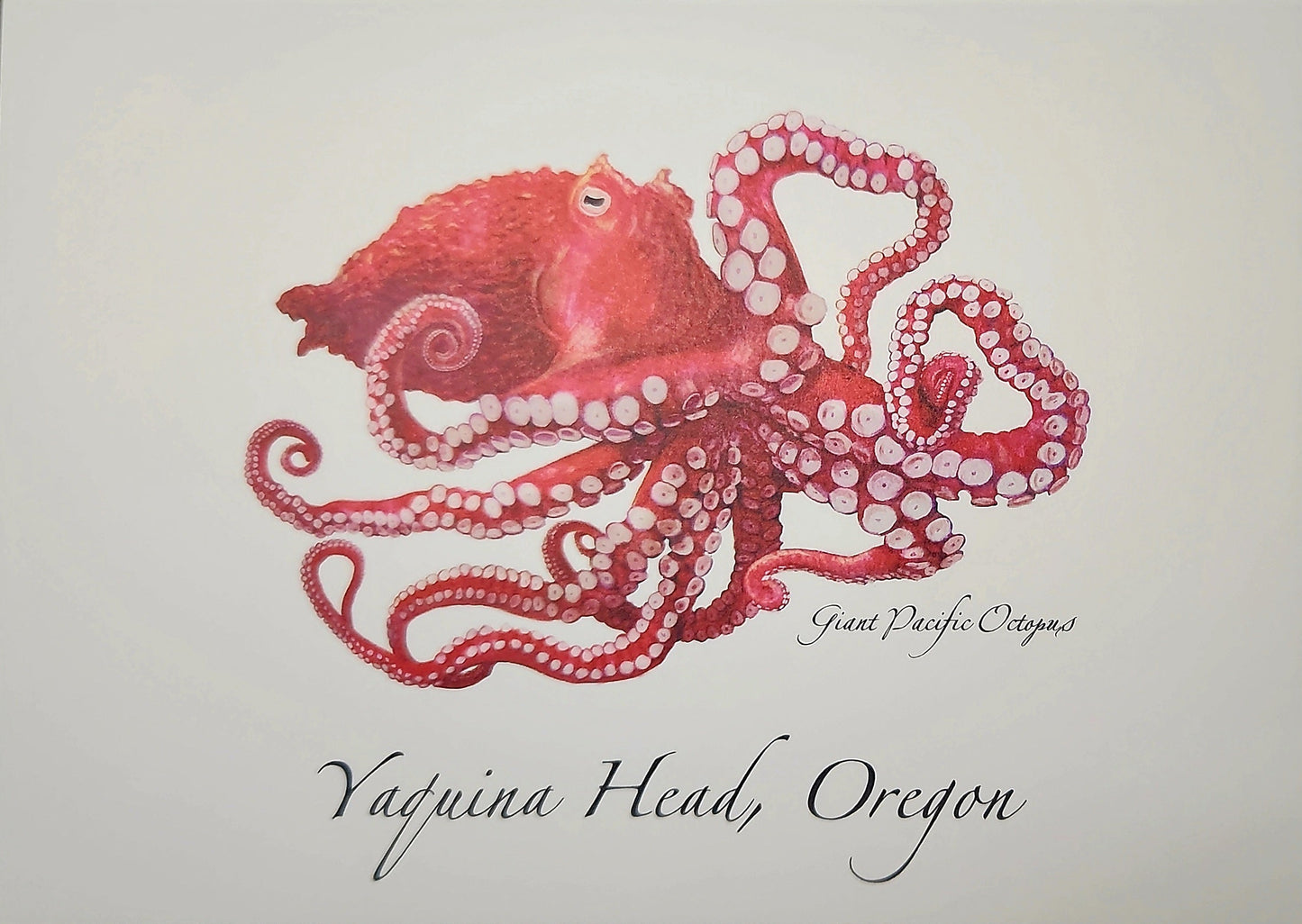 Card Pacific Octopus ESW