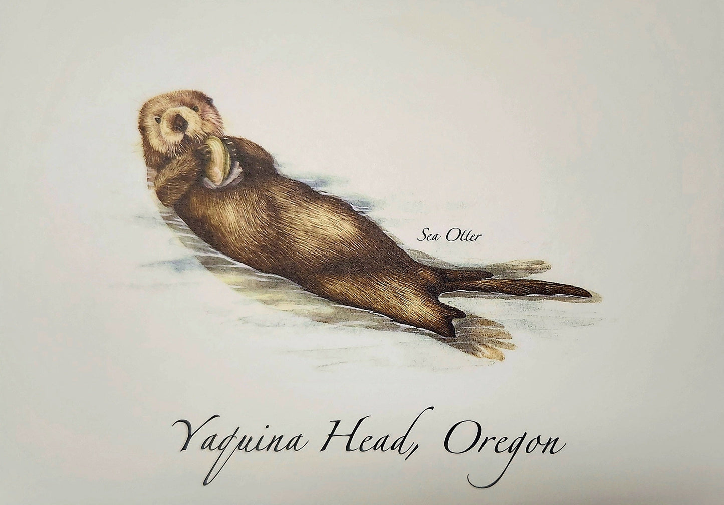 Card Single Sea Otter ESW