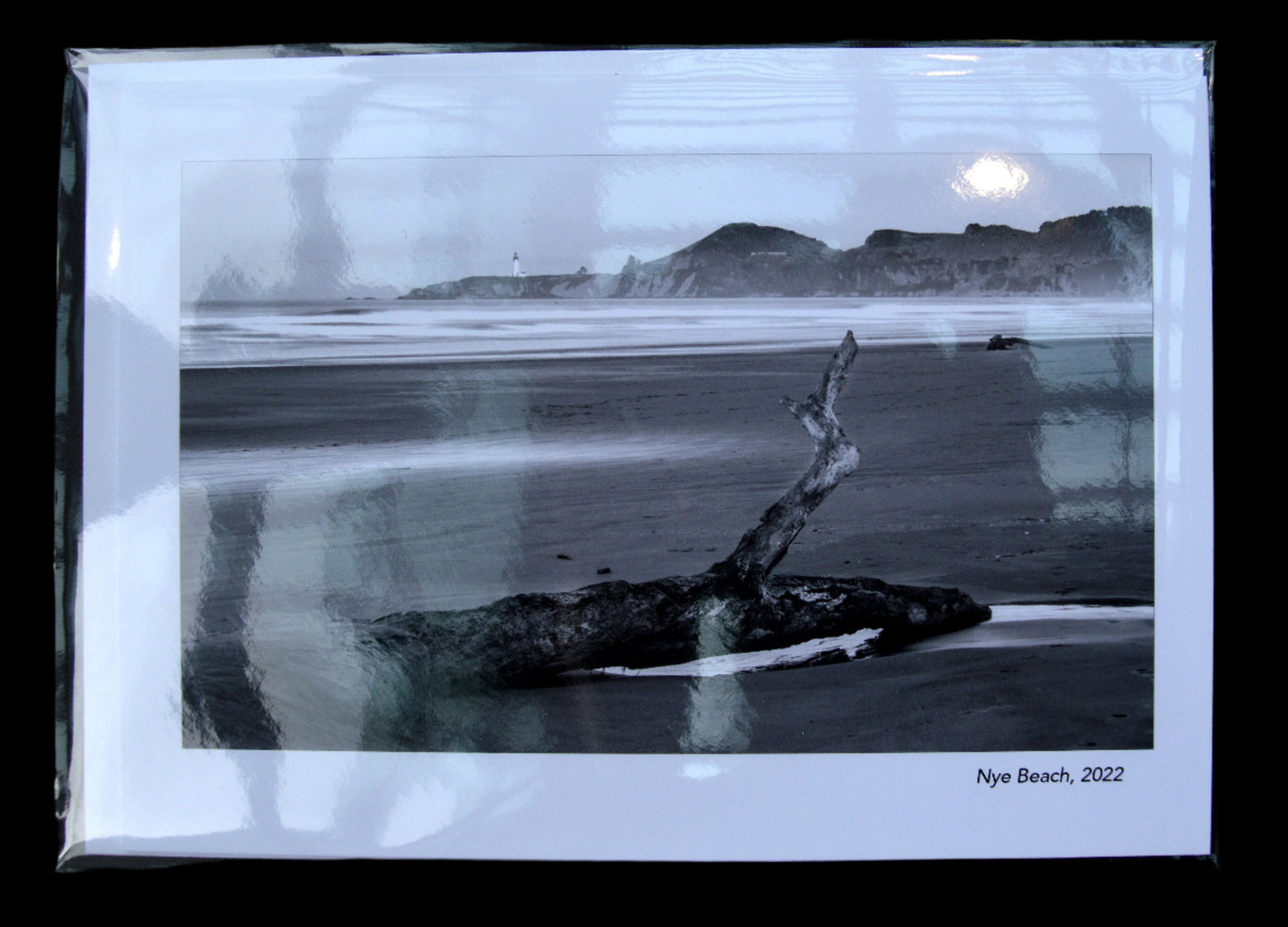 Greeting Card B&W Driftwood