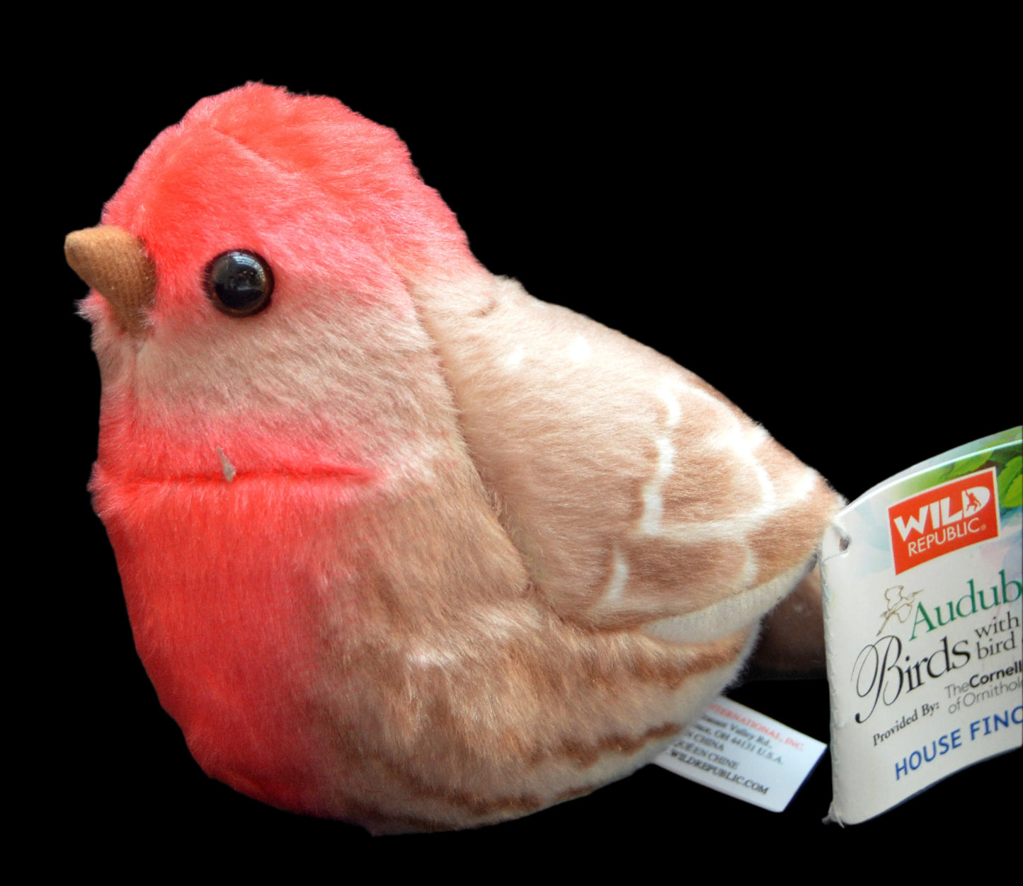 Plush Audubon House Finch