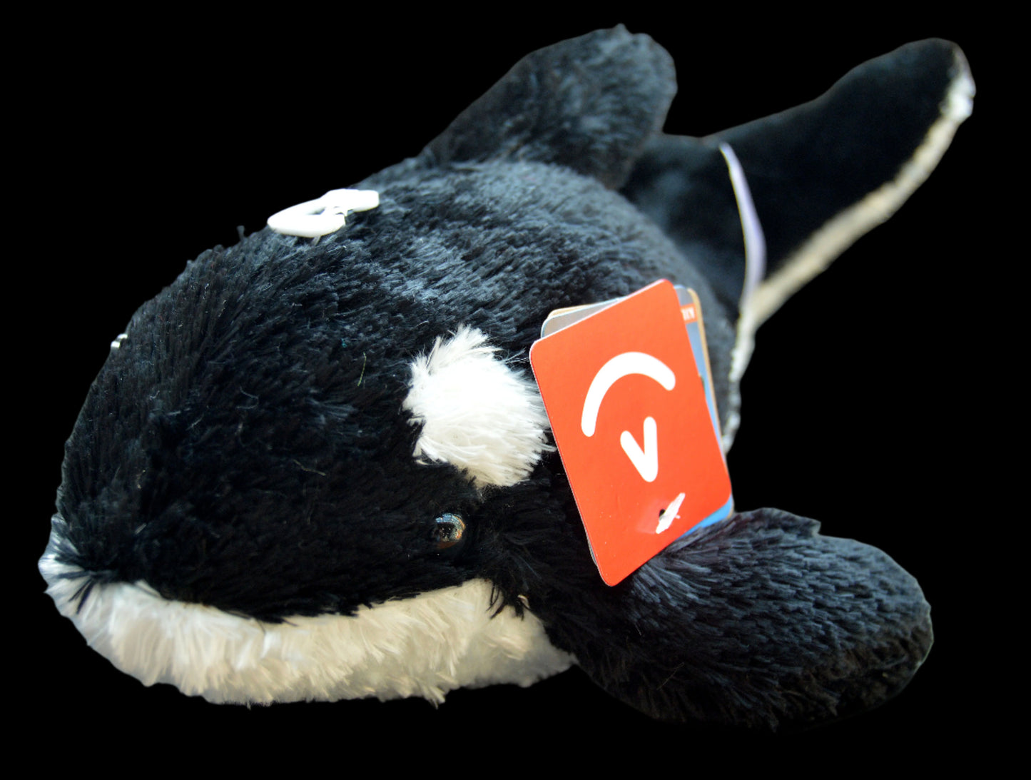 Plush Orca