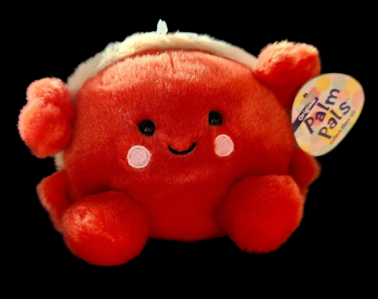 Plush Palm Hermit Crab