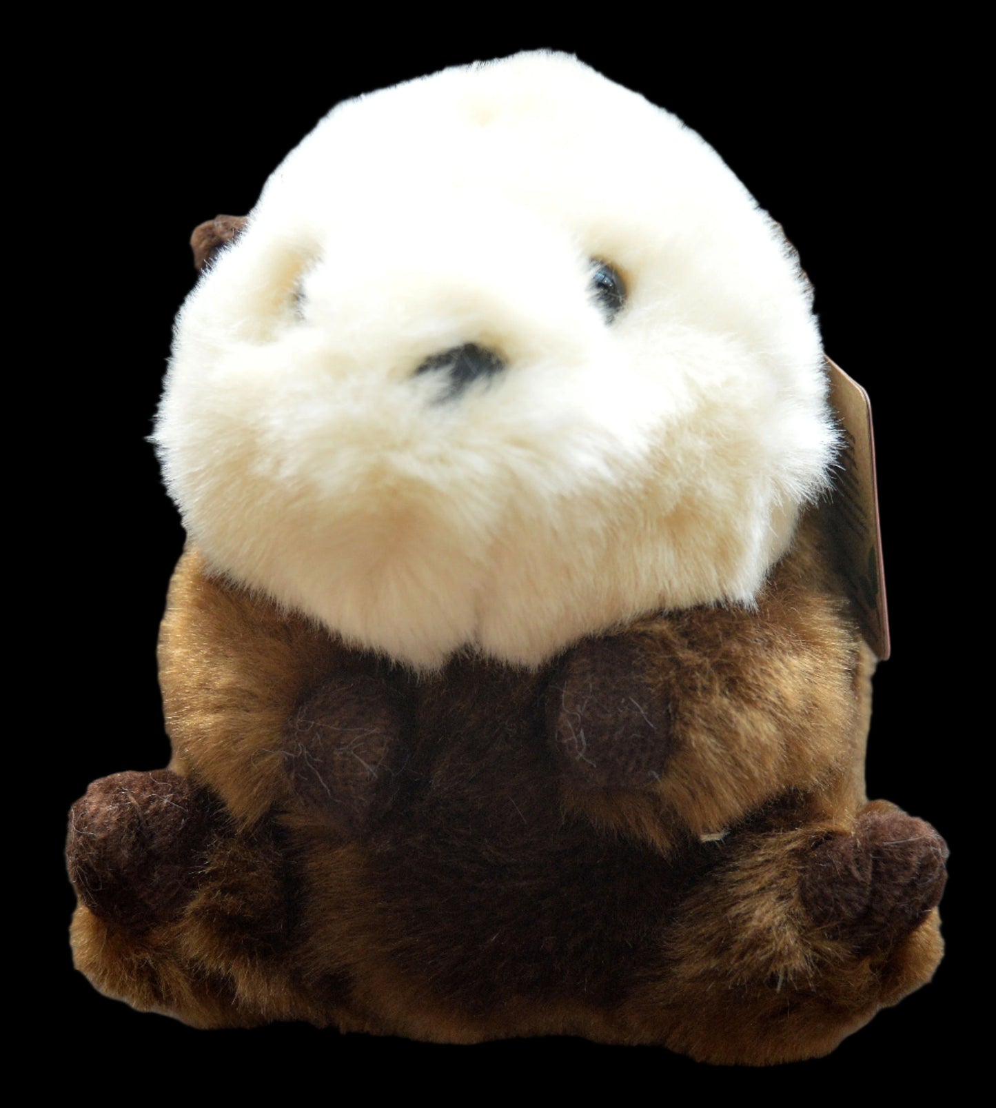 Plush Rolly Smiles Sea Otter