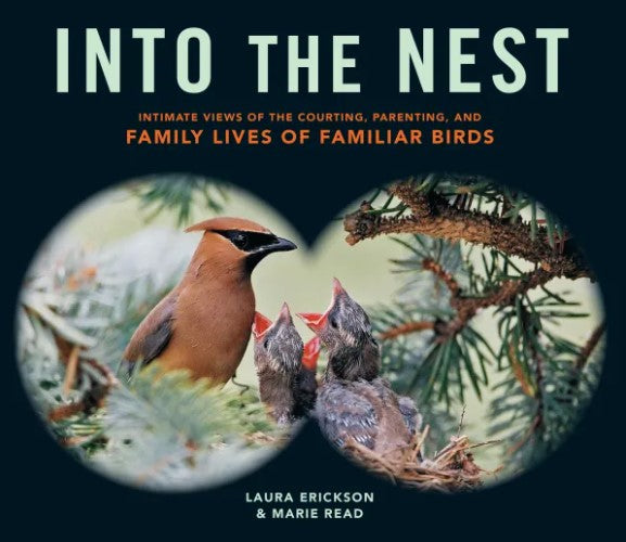 Book: Into The Nest