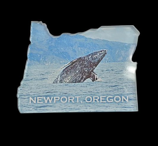 Magnet Gray Whale Acrylic