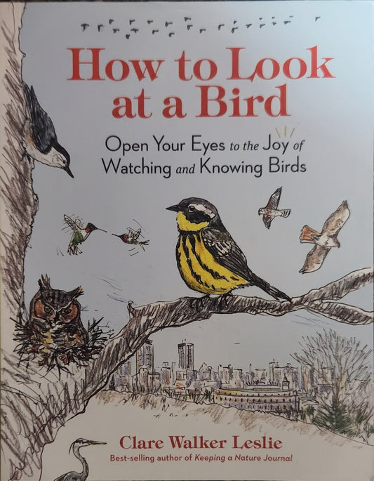 Book: How to Look at a Bird