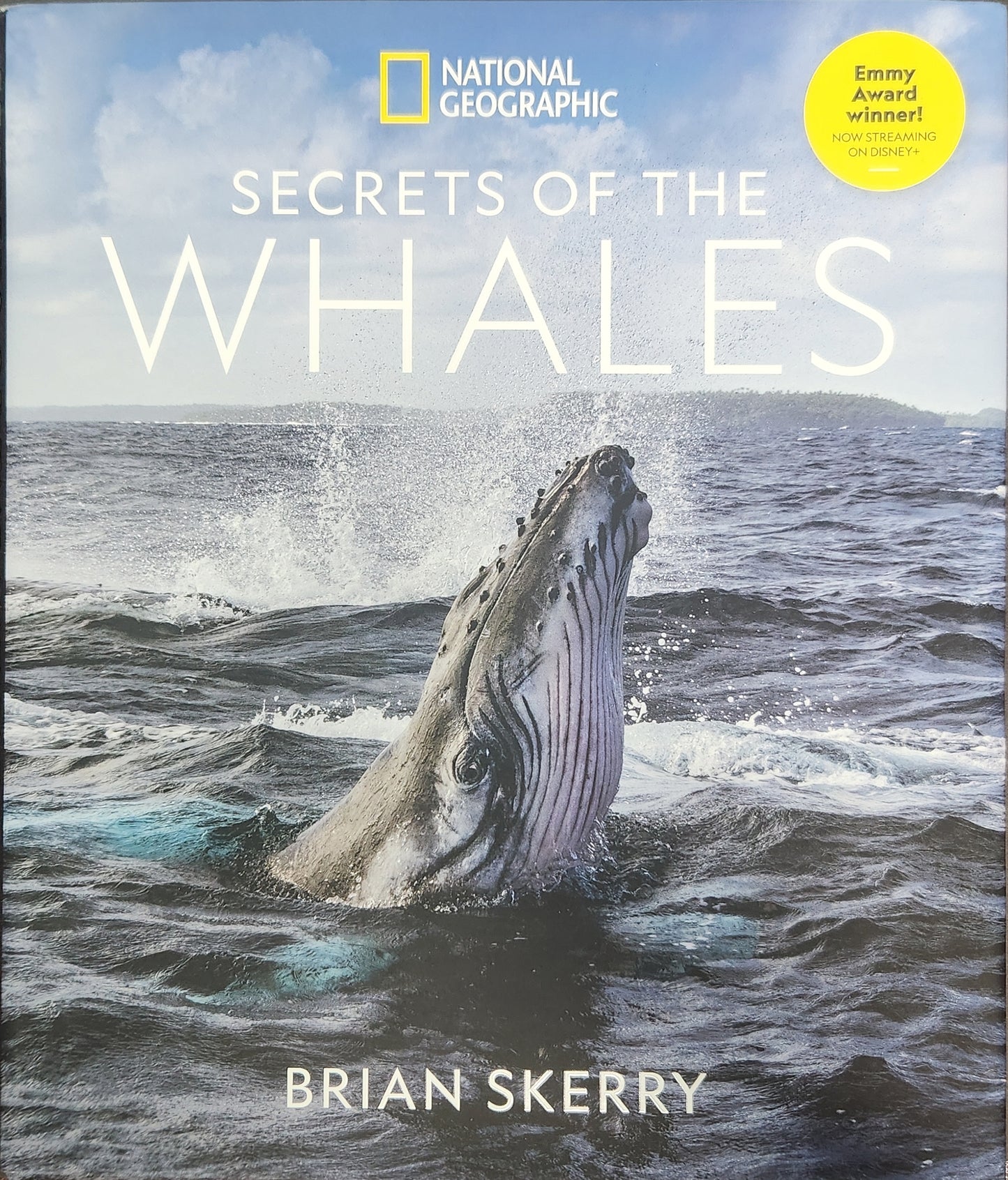 Book: Secrets of the Whales