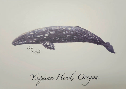 Card Gray Whale ESW