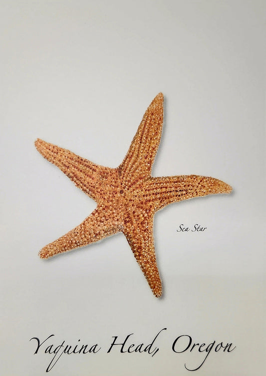 Card Sea Star ESW