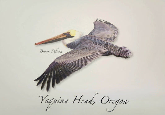 Card Brown Pelican ESW