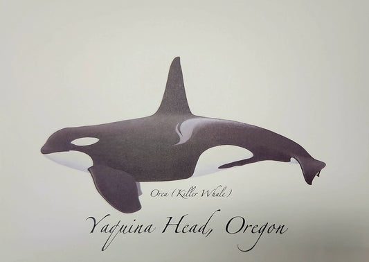 Card Orca ESW
