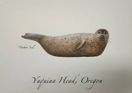 Card Harbor Seal ESW