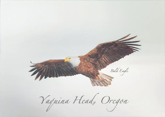 Card Bald Eagle ESW