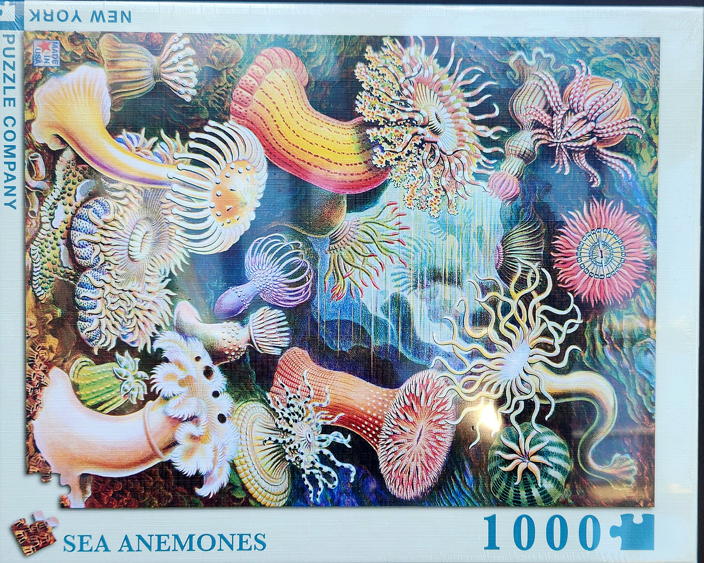 Puzzle Sea Anemones
