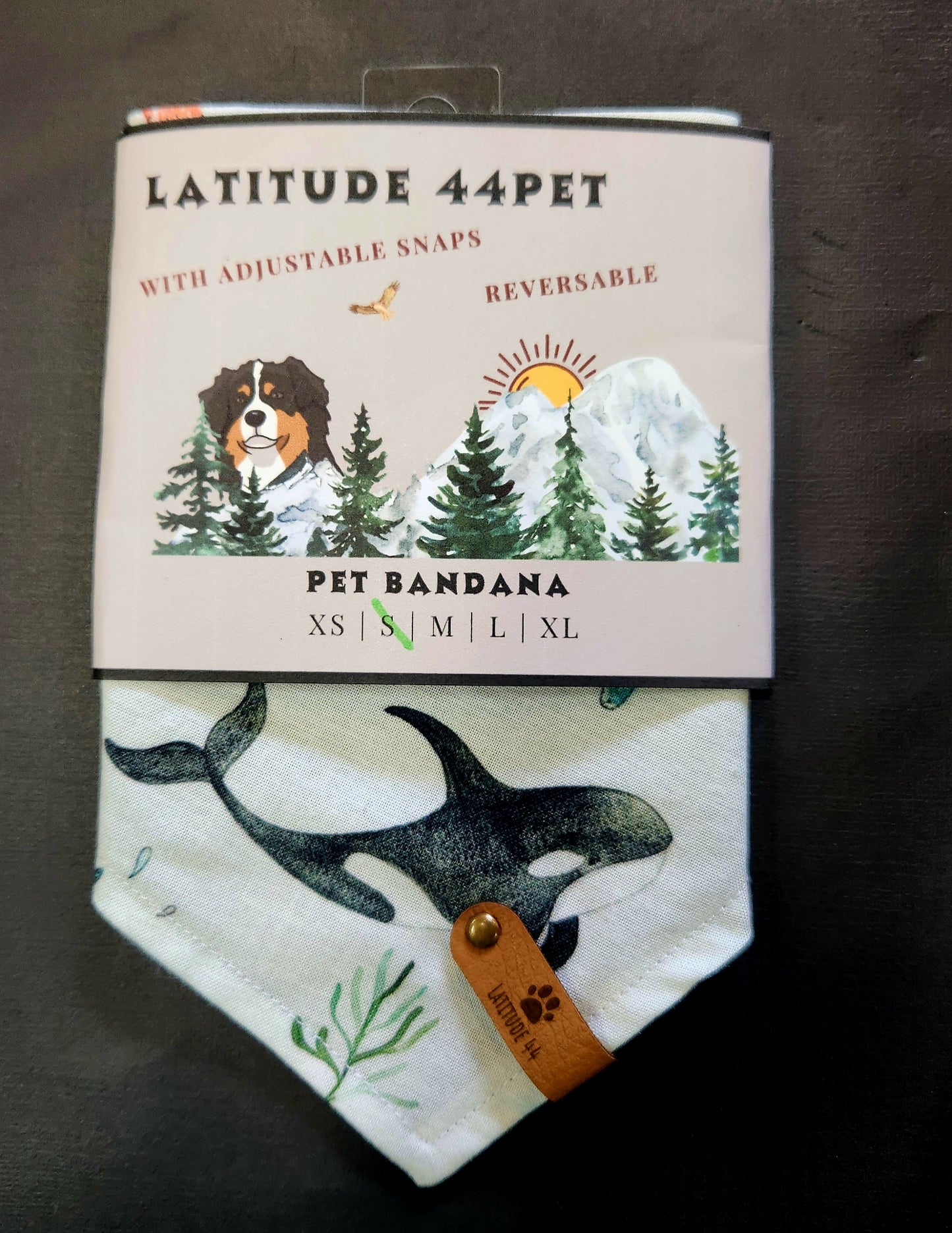 Bandana Sea Life