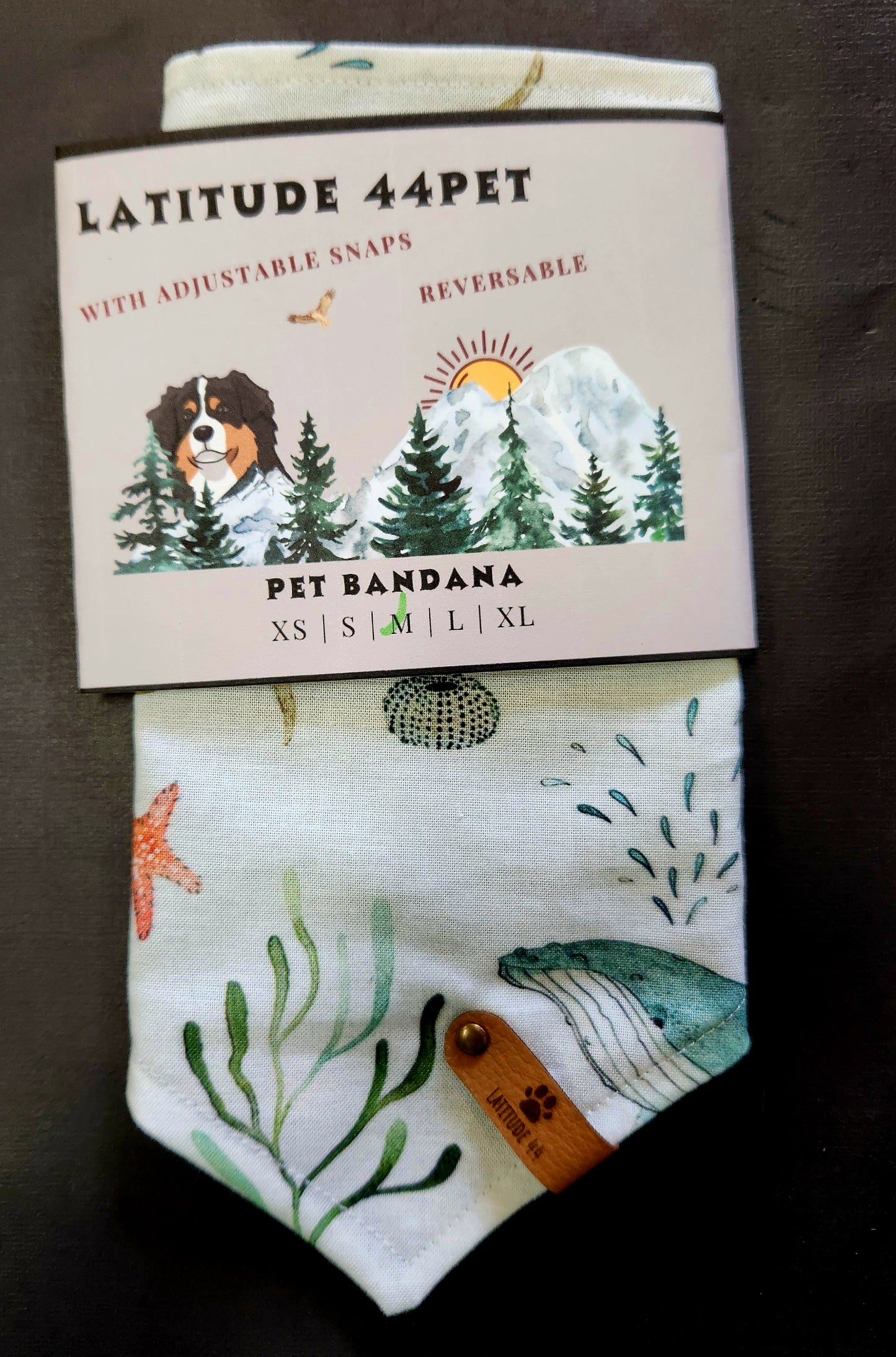 Bandana Sea Life