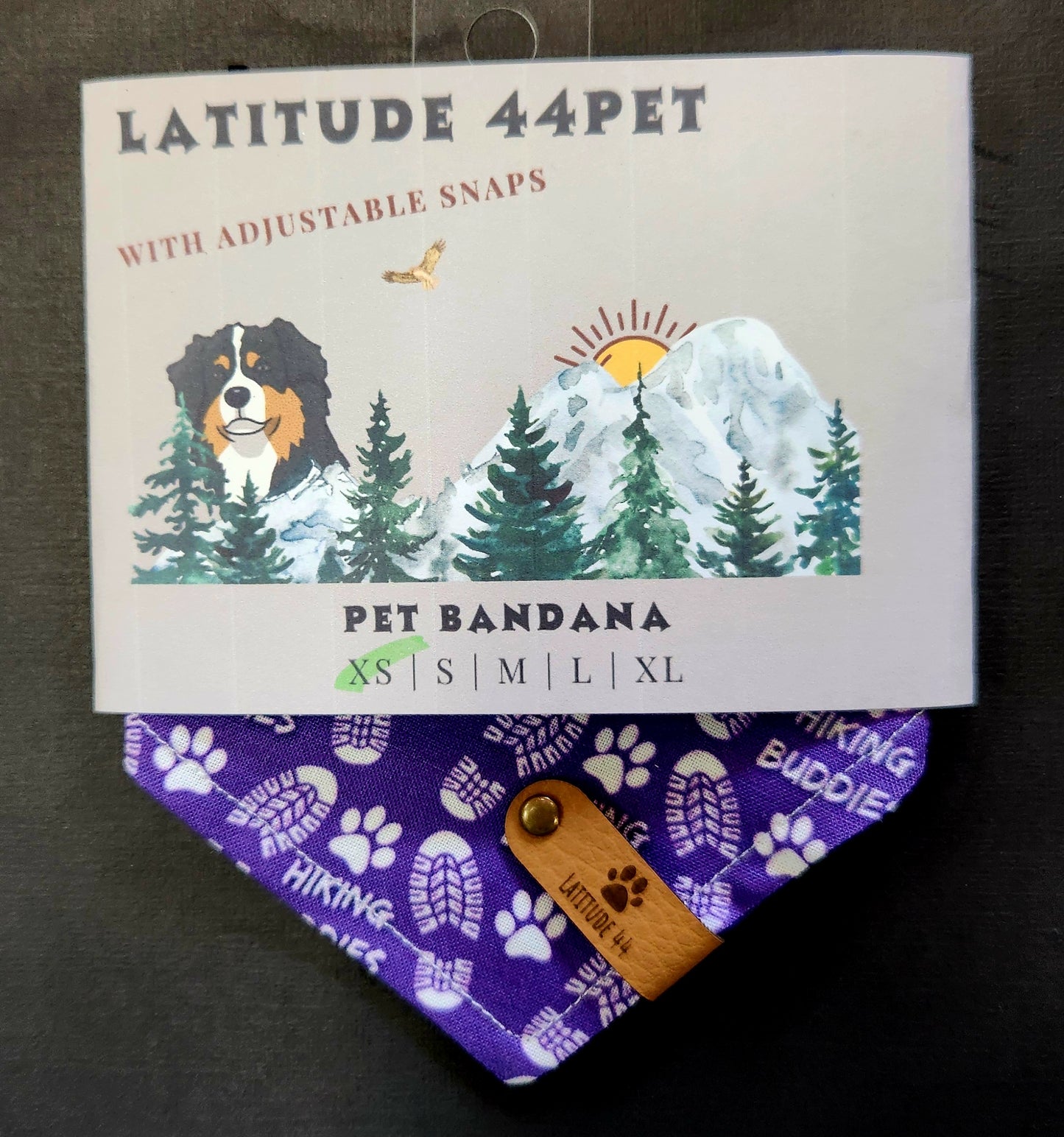 Bandana Hiking Buddies