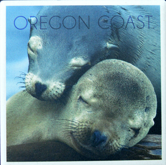 Coaster Ceramic Sea Lion