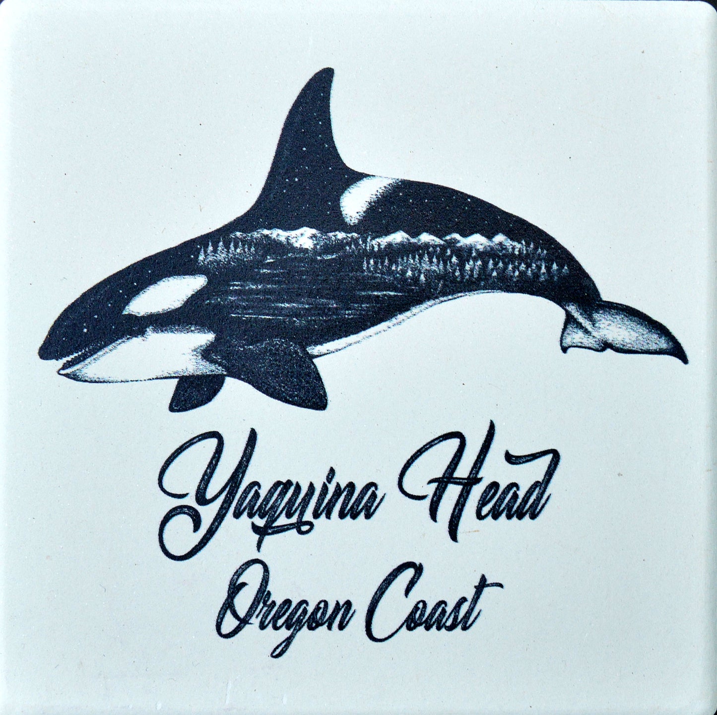 Coaster Ceramic Orca