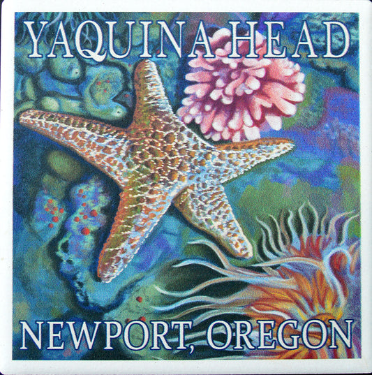 Coaster Ceramic Tidepool