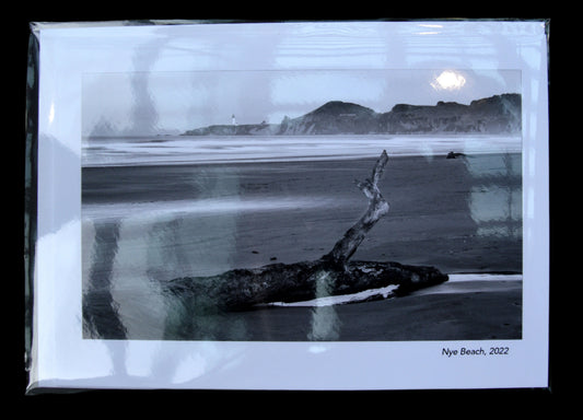 Greeting Card B&W Driftwood