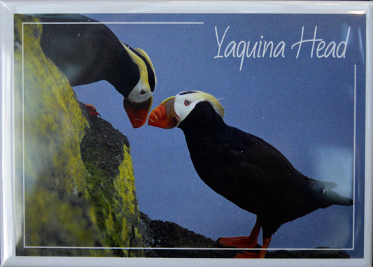 Magnet Tufted Puffin