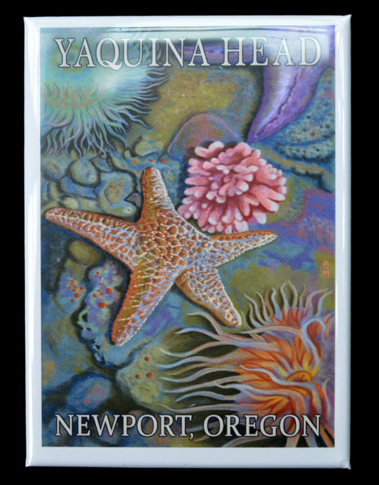 Magnet Tidepool