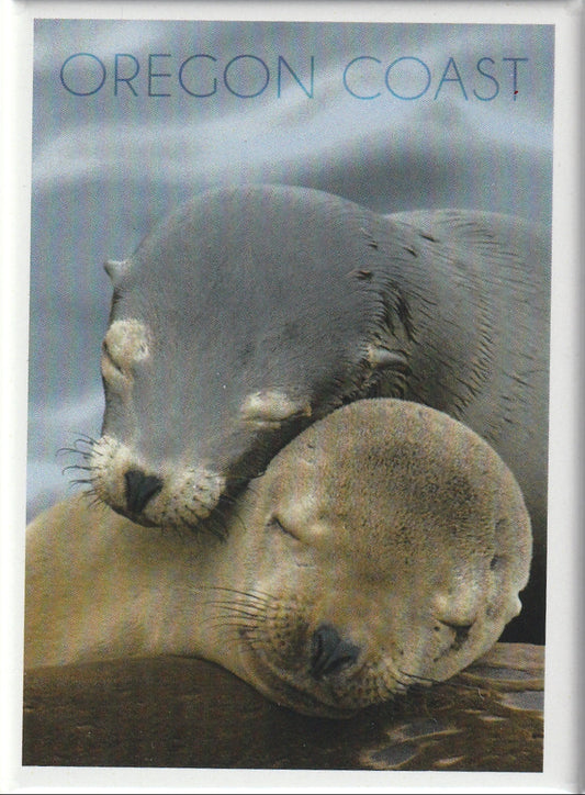 Magnet Sea Lion Cuddle