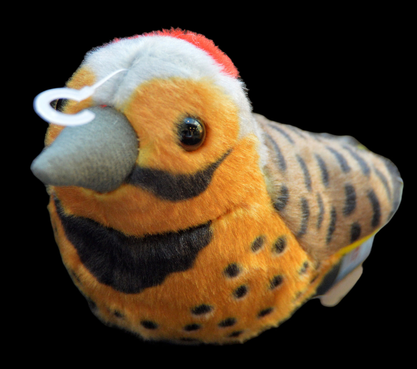 Plush Audubon Flicker