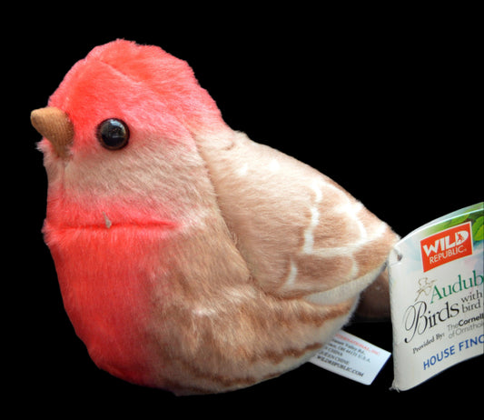 Plush Audubon House Finch