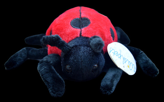 Plush Ladybug