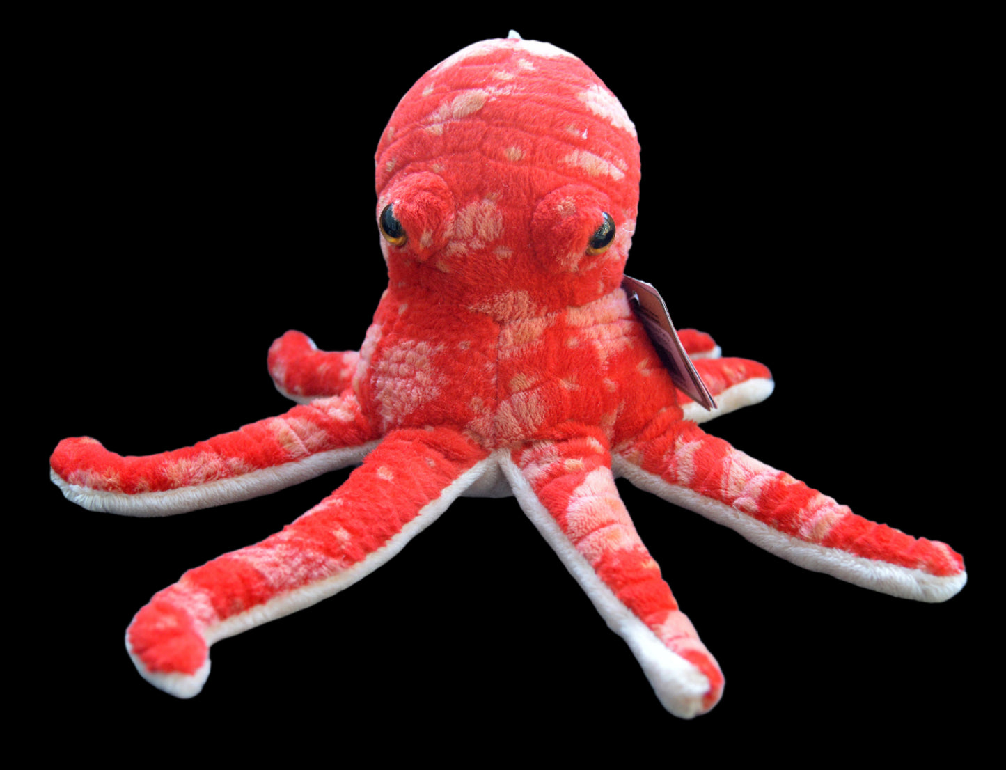 Plush Octopus Pacy