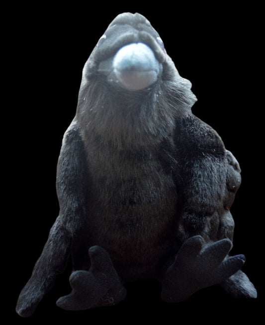Plush Raven CK