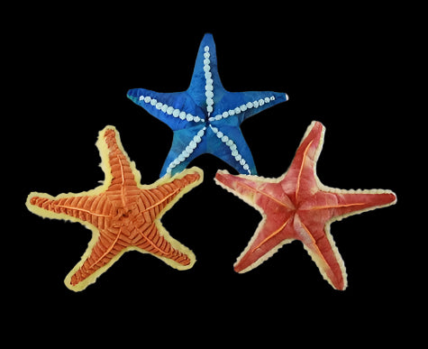 Plush Sea Star Textured