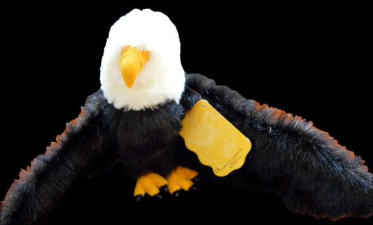 Puppet Eagle