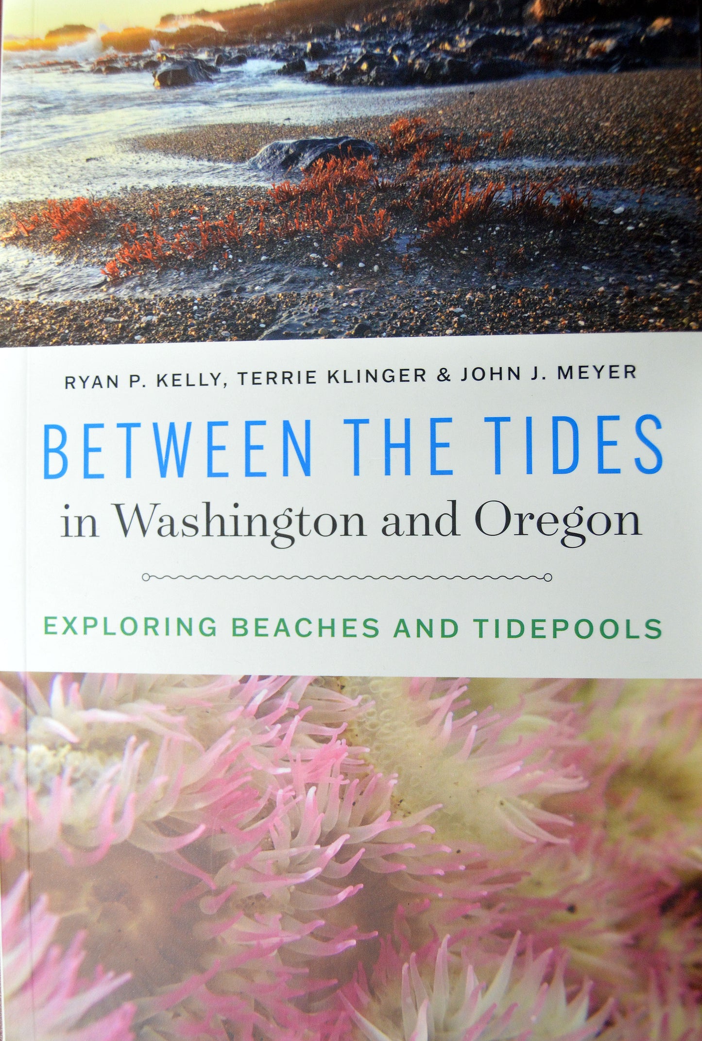 Book: Between the Tides
