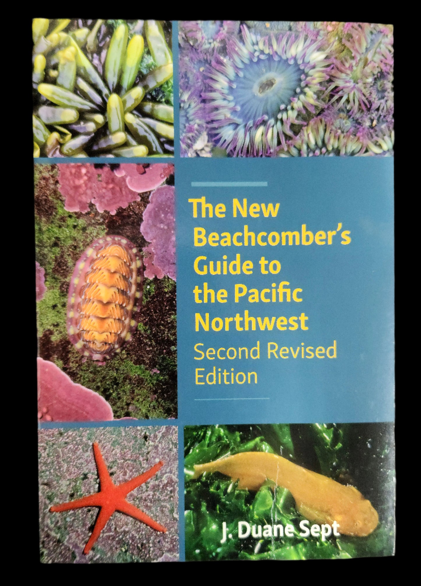 Book: Beachcomber's Guide