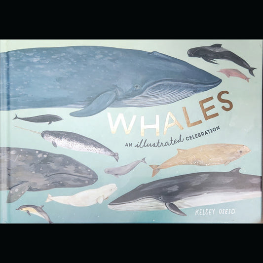 Book: Whales an Illustrated Celebration