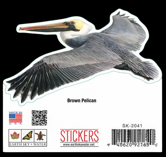 Sticker Brown Pelican