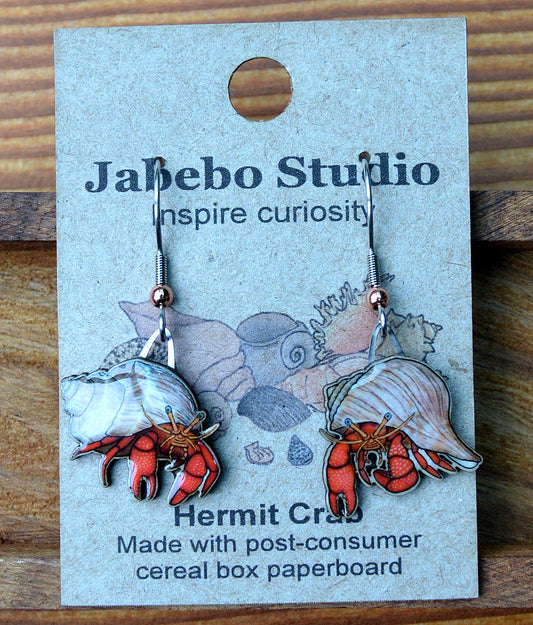 Earring Hermit Crab