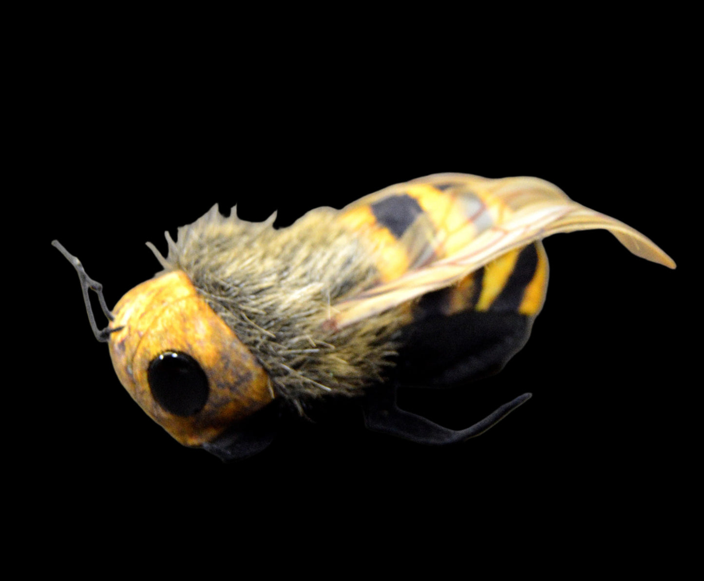 Finger Puppet Bee