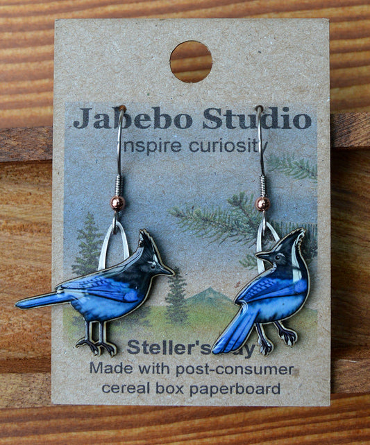 Earring Steller's Jay