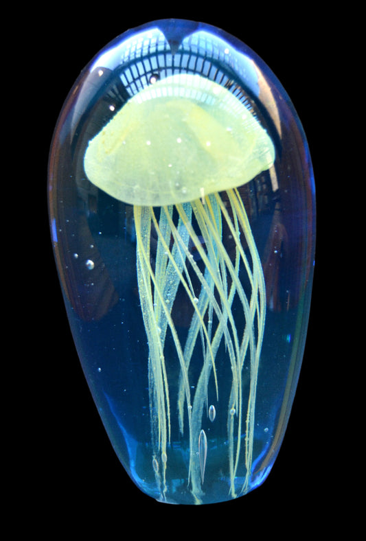 Jelly Blue Background