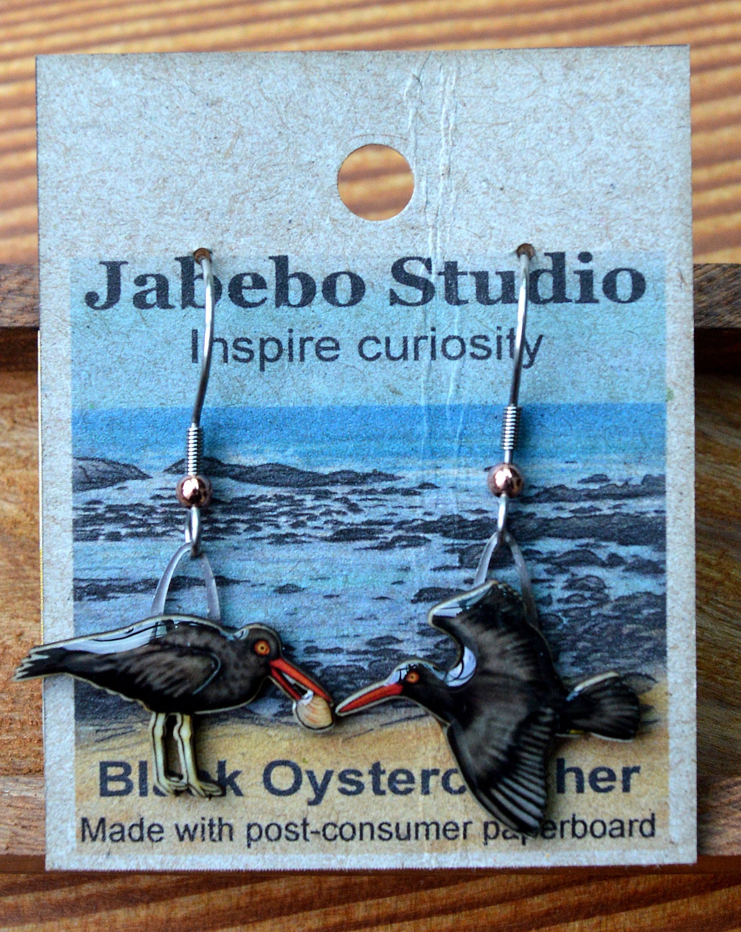 Earring Blk Oystercatcher
