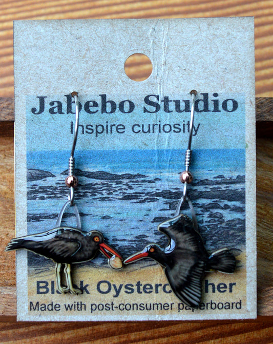 Earring Blk Oystercatcher