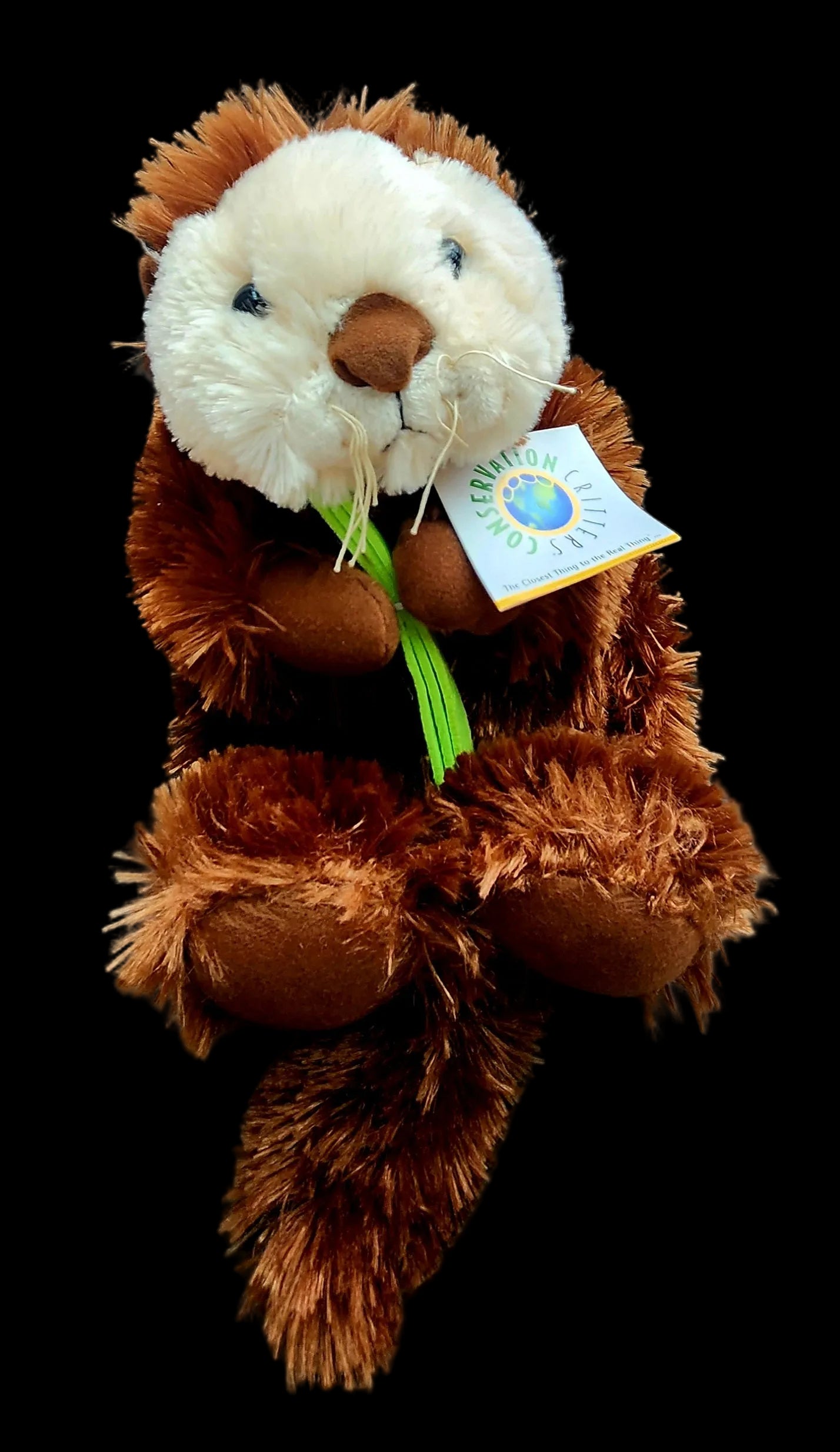 Plush CCR M Sea Otter