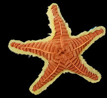 Plush Sea Star Textured