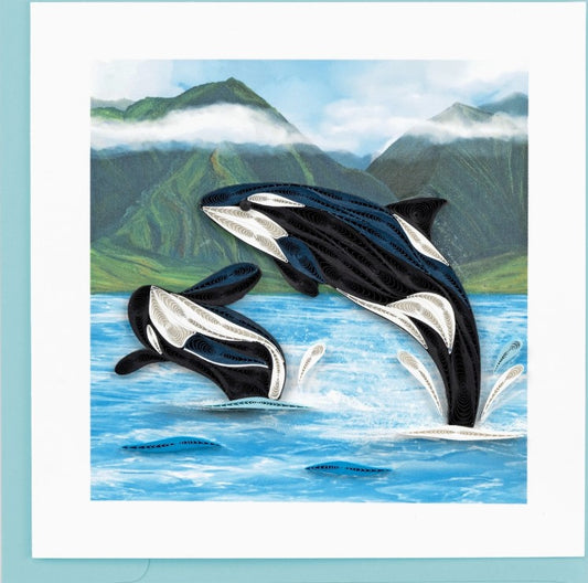 Quilling Card Orca