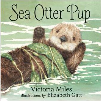 Book: Sea Otter Pup